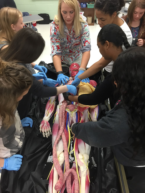 Syndaver - Synthetic Cadaver Presentation